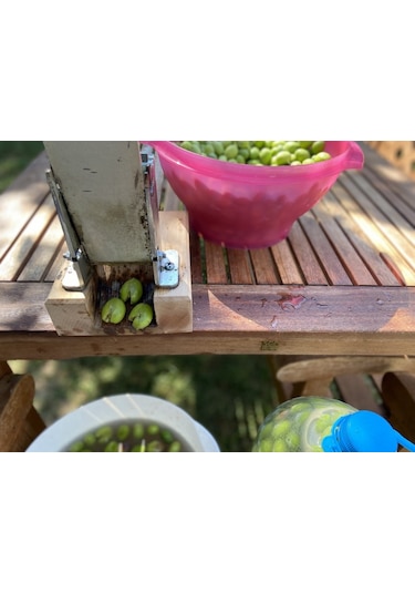 Kadıoğlu C2 Zeytin Kırma Aleti