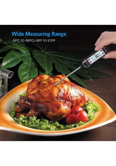 Tp101 Dijital Termometre