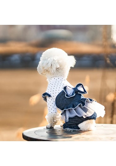 Best Golden Monkey Köpekler İçin Tulum 450280287