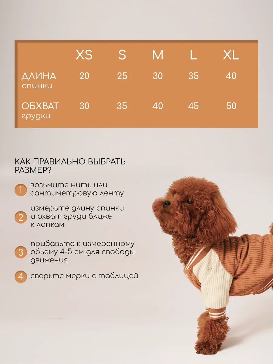 Petite Pets Küçük Irk Köpekler İçin Bomber Ceket 338568298