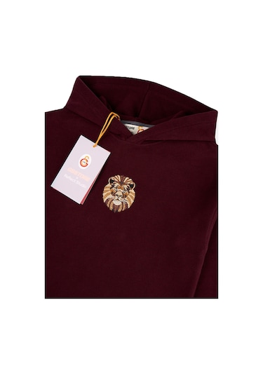 Gsstore X Reflect Studio Aslan Çocuk Hoodie C242400 Bordo