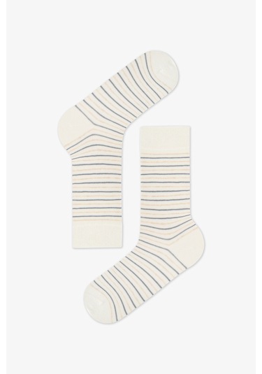 Penti Erkek Renkli Calm Stripes 3'lü Soket