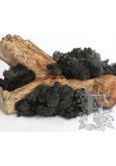 Reindeer moss BLACK(SİYAH) şoklanmış norveç yosunu