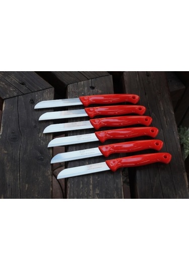 Solingen Simli Tırtıklı Sebze Meyve Bıçağı 6 Adet Karışık Renk