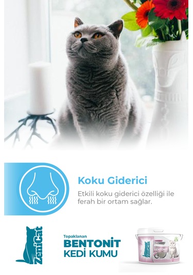 Zenicat Bebek Pudrası Kokulu Renkli İnce Bentonit Kedi Kumu 18 L