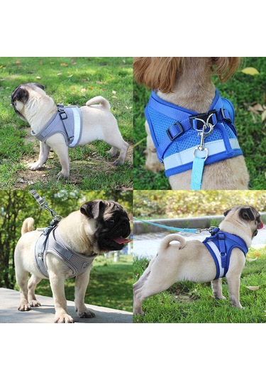 Geeroyoo "yansıtıcı Köpek Yeleği - Çekmeyi Önleyen, Ayarlanabilir, Nefes Alabilen Kumaş, Kedi/köpek/yavru İçin Kırmızı, Xl " Kırmızı