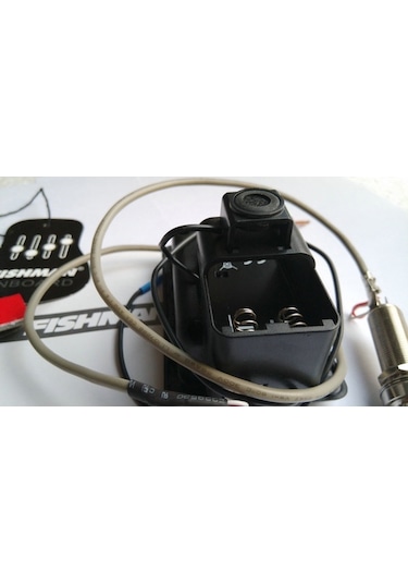 Fishman PSY-201 Ekolayzer