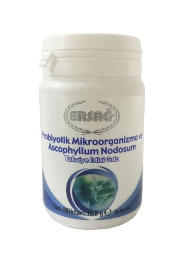 Ersağ Probiyotik Mikroorganizma Ve Ascophyllum Nodosum Içeren Gıd