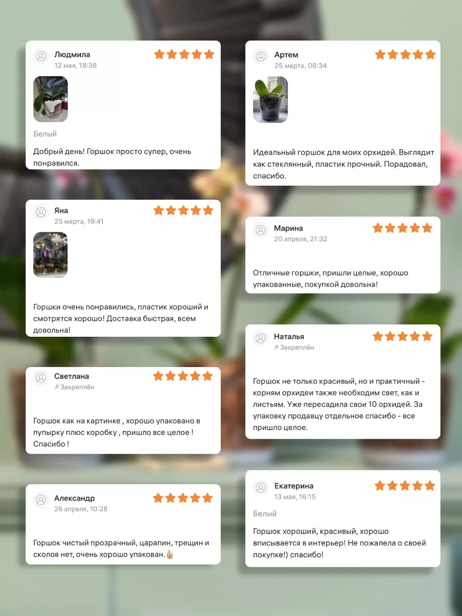 Elly Home Orkide İçin Büyük Şeffaf Saksı 171430256