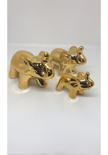 Lebron Fil Ailesi 3'lü Set Gold