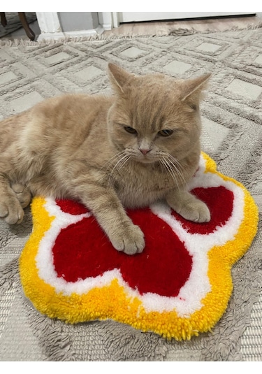 Kirbi Kedi Patisi Süs Halı Çok Renkli