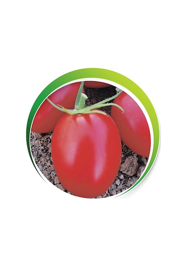 Makrogen Rio Grande Domates Tohumu 10 Gr
