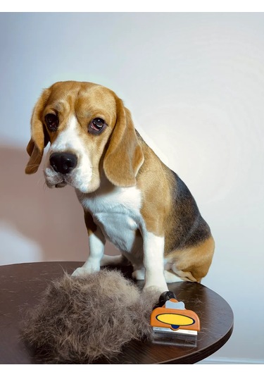 Kimarket Kediler Ve Köpekler İçin Tarak Ve Kaşıma Fırçası 411741833