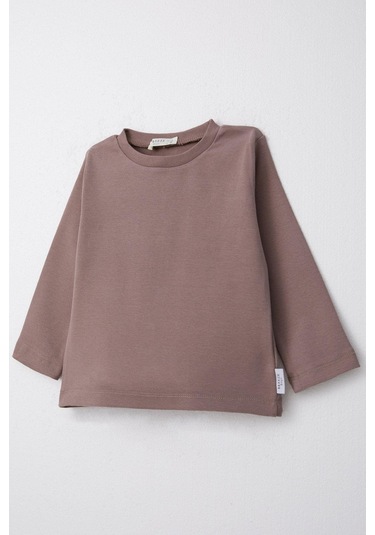 Breeze Erkek Çocuk Uzun Kollu Tişört Basic 1-4 Yaş, Vizon-vizon Vizon