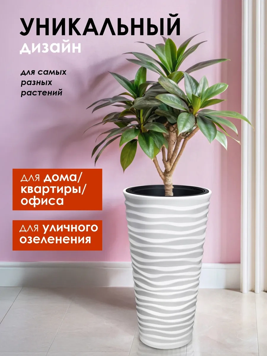 Konono Çiçekler Ve İç Mekan Bitkileri İçin 22l İç Saksılı Saksı 327273763