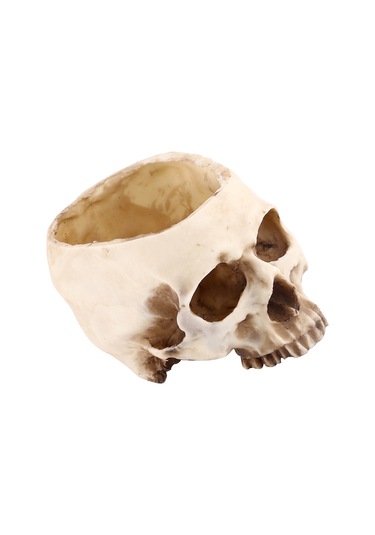 Konesam Büyük Boy Reçine Kafatası Süs Tepsisi - Bitki Yetiştirme, Atıştırmalık Depolama, Bar Ve Halloween Dekorasyonu