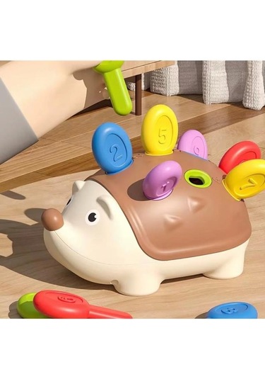 Renkli Kirpi Eğitici Bultak Zeka Oyunu