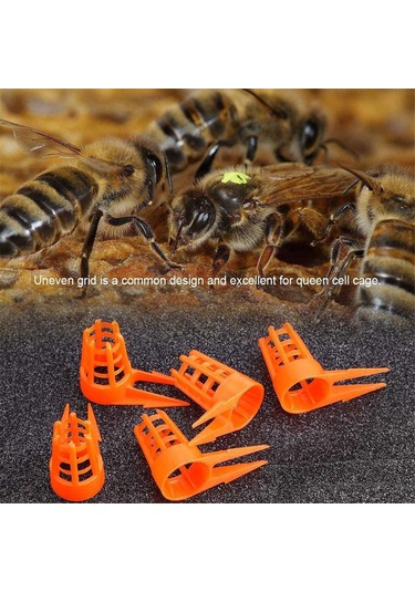 Xurunkeji Arı Kraliçesi Kapağı Bal Arısı Peteği İtmeli Kraliçe Hücre Koruyucuları Arıcılık Malzemeleri İçin Arıcılık Kraliçesi-arı Yetiştirme Kafesi