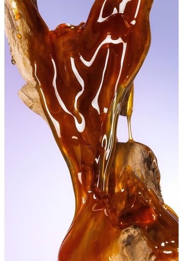 Alix Avien Reve Kadın Parfüm EDP 45 ML