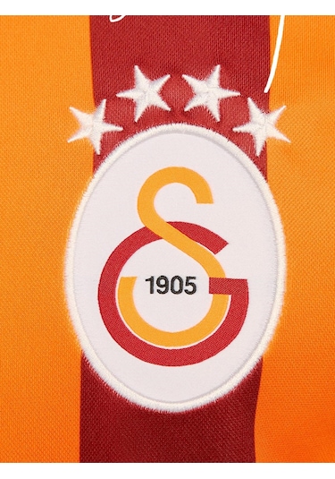 Galatasaray Lisanslı 100. Yıl İmzalı Forma Gs Aslan Baskılı Hediyelik Ahşap Kutulu Sarı - Kırmızı
