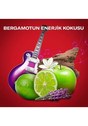 Old Spice Rockstar Erkek Duş Jeli ve Şampuan 400 ML