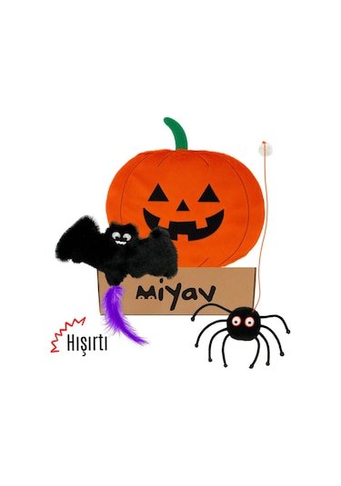 Miyav Cadılar Bayramı Temalı Kedi Oyuncak  Seti