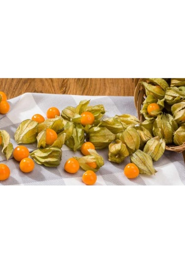 Süper Paket Altın Çilek Tohumu Kaz Üzümü Yer Çileği Tohumu 65 Adet Tohum