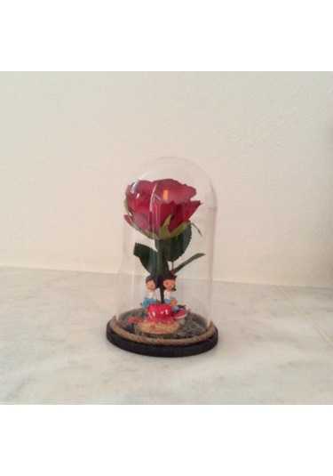 Aşk Temalı Mika Fanus Teraryum Detaylı Dekoratif Biblo Model 1