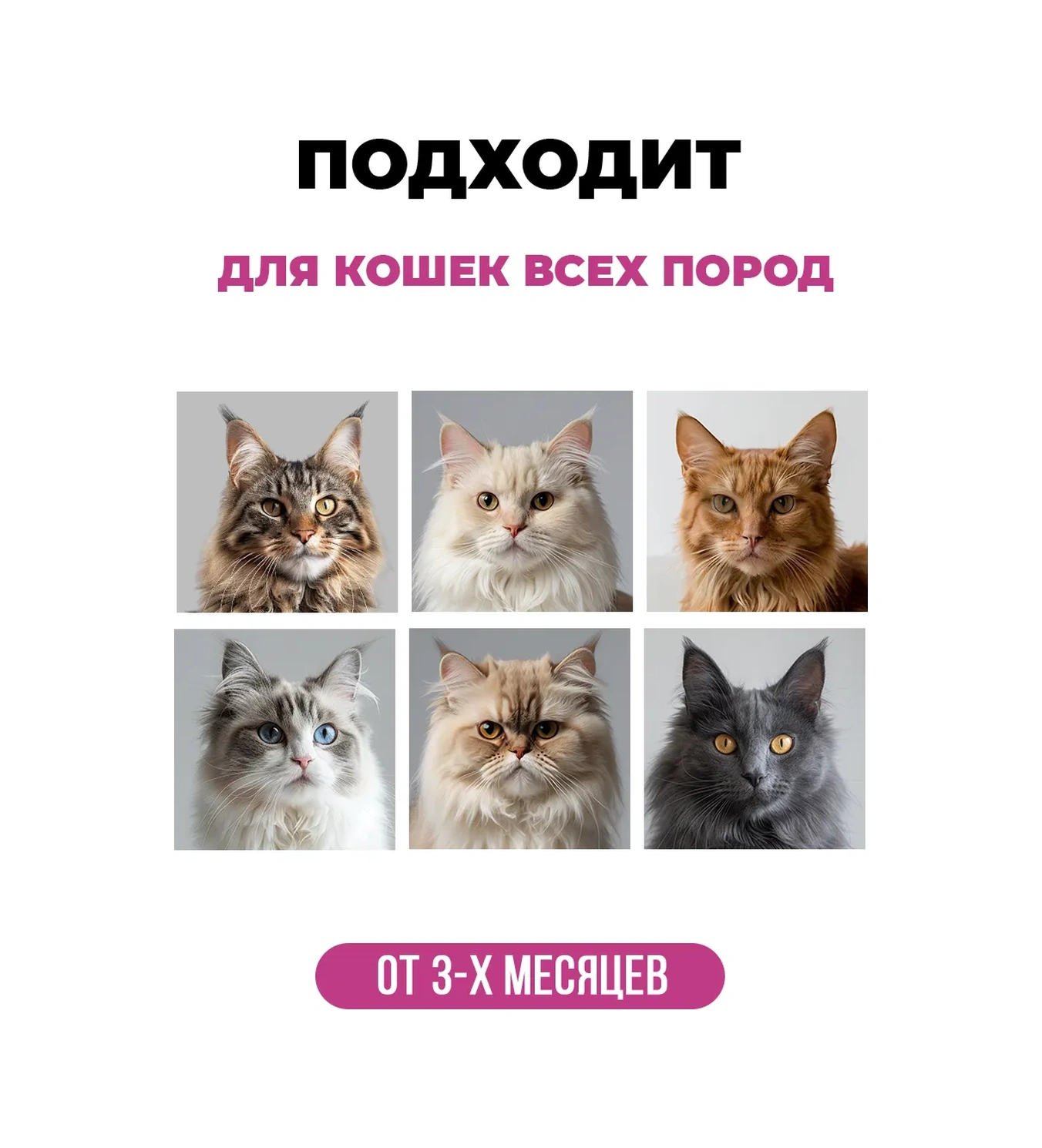 Spets Uzun Tüylü Kediler İçin Şampuan + Düğümlenme Spreyi 250ml 258234893