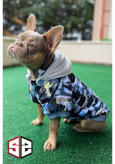 Grafiti Design Köpek Montu Km-108
