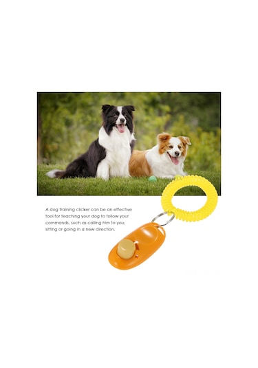 Vkemall 7 Renkli Köpek Eğitimi Çift Butonlu Çıkartıcı - Sesli İzleme Ve Emir Takibi Araç Seti Kırmızı, Mavi, Yeşil, Pembe, Siyah, Beyaz, Turuncu