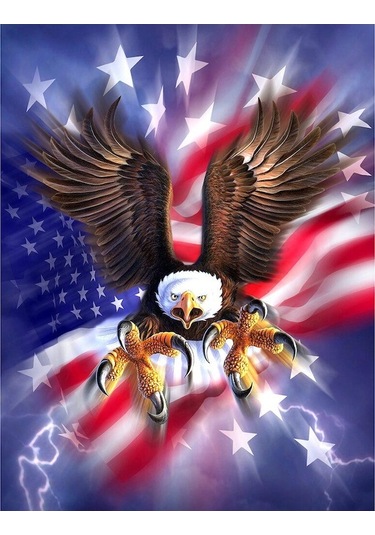 Novahub Dıy 5d Elmas Boyama Çapraz Dikiş Kartal Amerikan Bayrağı Mozaik Elmas Nakış İğne 30x40cm