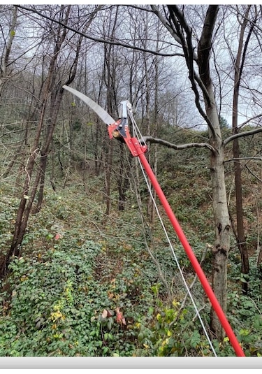 Meşem Yüksek Dal Budama Makası Testereli + Saplı