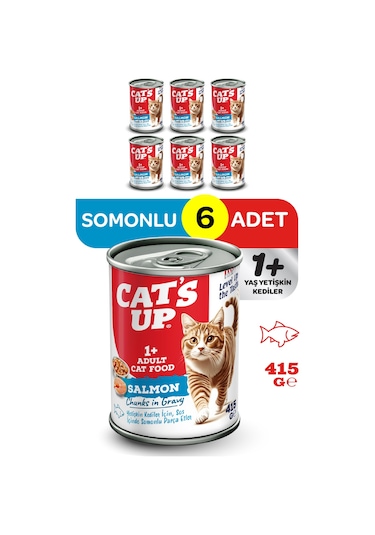 Cats Up Yaş Yetişkin Kedi Maması Somonlu 415gr 6lı