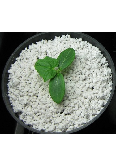 Perlit 20 L Tarım Perliti Köklendirme Perliti Steril Sera Perlit N11.490