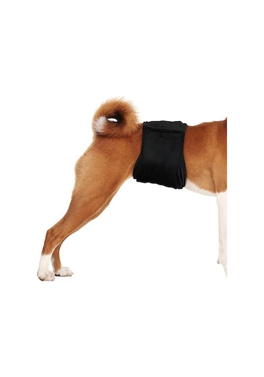 Erkek Köpek Özel Nezaket Kemeri Pet Fizyolojik Pantolon, Boyut: S Sığ Mor