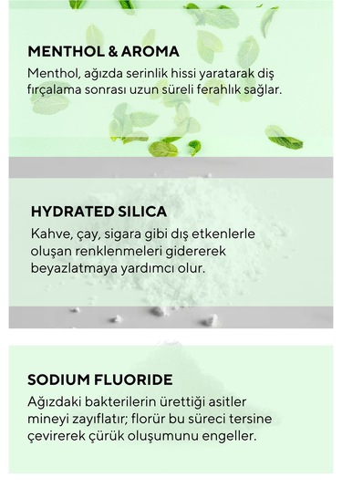 Fresh Mint Ferahlatıcı Etkili Diş Macunu 75 Gr Ağız Kokusu Önleyici