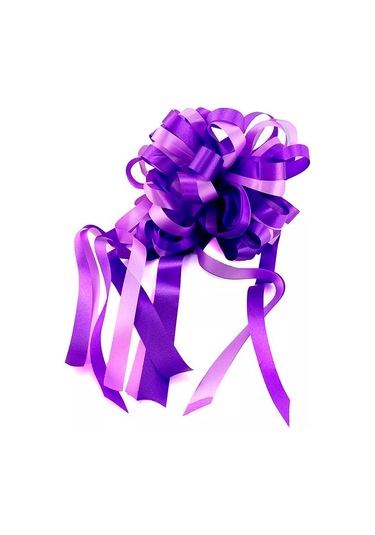 Riota 25 Cm Hediye Fiyonku 197281118