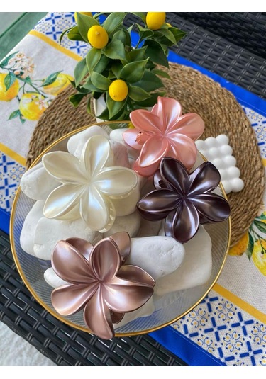 4'lü Set Pastel Mat Renk Lotus Toka Çok Renkli