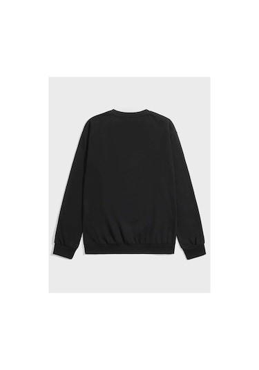 Adrift Anime Guys Letter Animal Graphic Sweatshirt Siyah Siyah