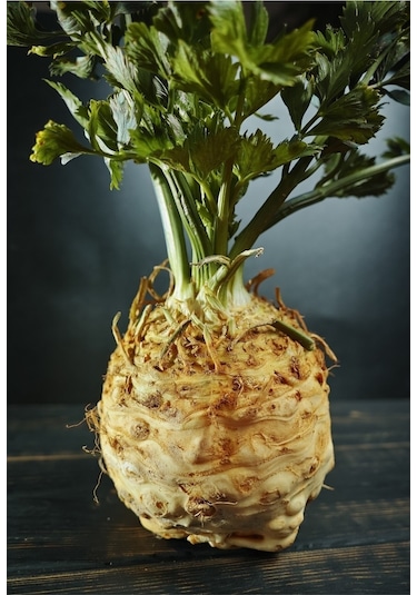 Kök Kereviz Tohumu Giant Prague Celeriac