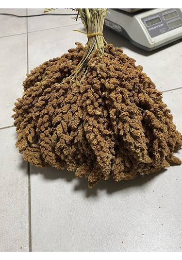Mezbi Doğal Dal Darı Özel 1 KG