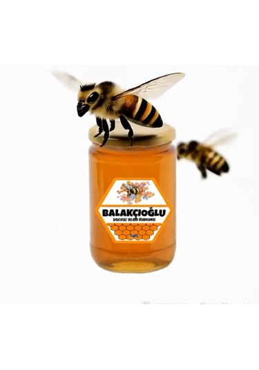 Ayder Online Satış Van Bölgesine Özgü Kekik ve Geven Den Doğal Süzme Çiçek Bal 1 KG