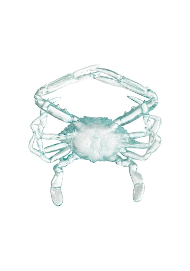 Mudo Home Ocean Crab Biblo 16x17x3 Cm