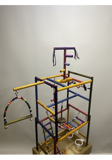 Paks Pet Kuş Oyun Parkı No:16