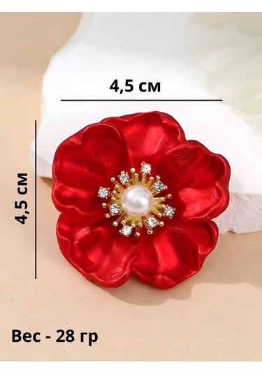 Beautiful Detail Geveze Çiçek Havuç Geveze Havuç Çiçek 225038264 Kırmızı