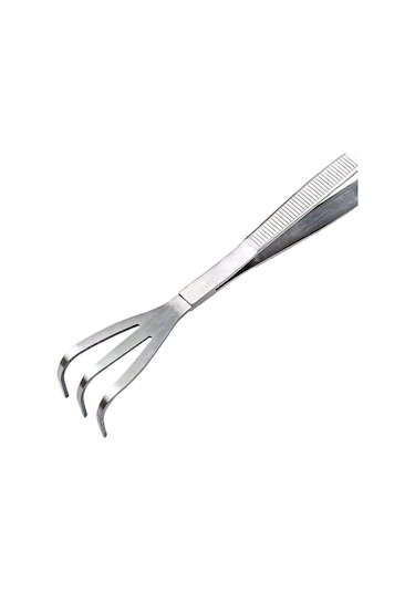 Suntek Bonsai Cımbız Mutfak Saksı Bitkileri Ofisi Için