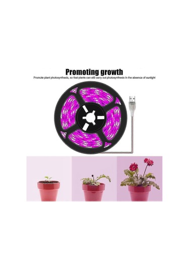 Bitki Işık Şeritleri - İç Mekan Bitkileri, Sukulentler, Hidro Çok Renkli