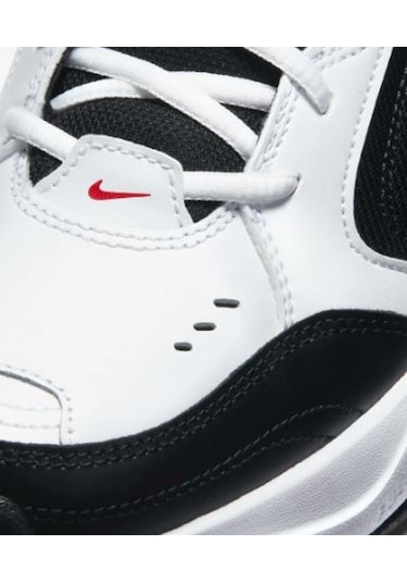 Nike Air Monarch IV Training Erkek Ayakkabısı 415445-101