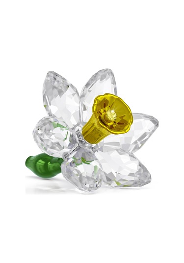 5721540 Swarovski Ev Dekorasyonu Florere:daffodıl